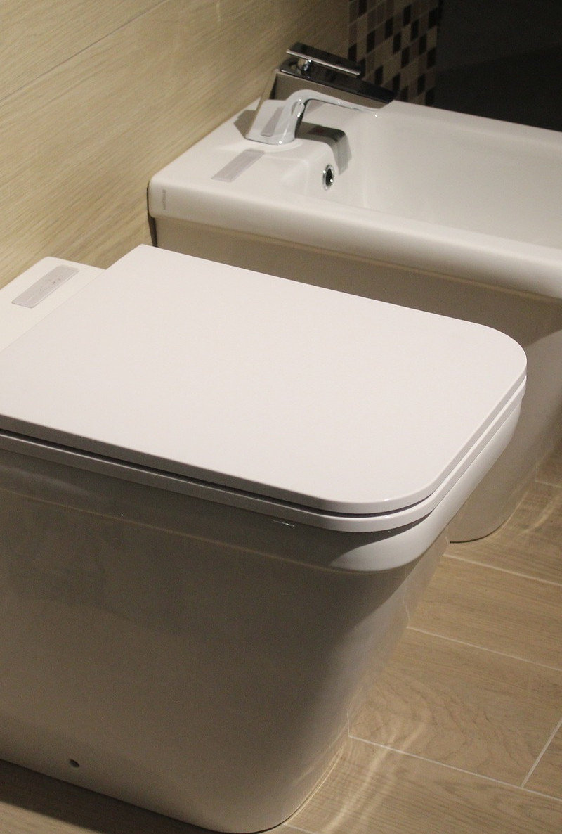 Clogged Toilet North West London